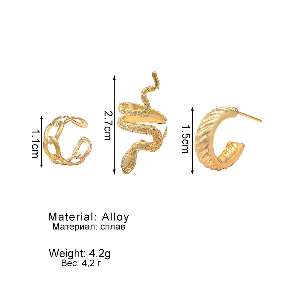 Fashion A9 Earrings